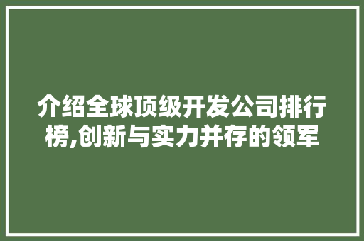 介绍全球顶级开发公司排行榜,创新与实力并存的领军企业
