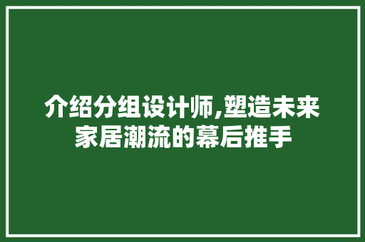 介绍分组设计师,塑造未来家居潮流的幕后推手