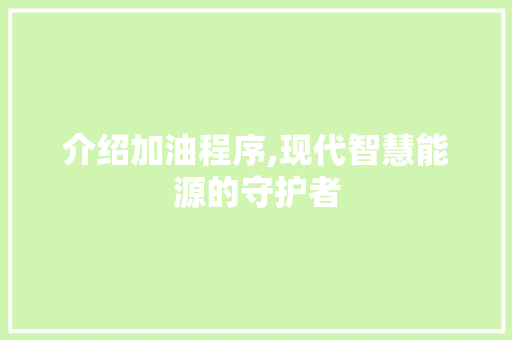 介绍加油程序,现代智慧能源的守护者