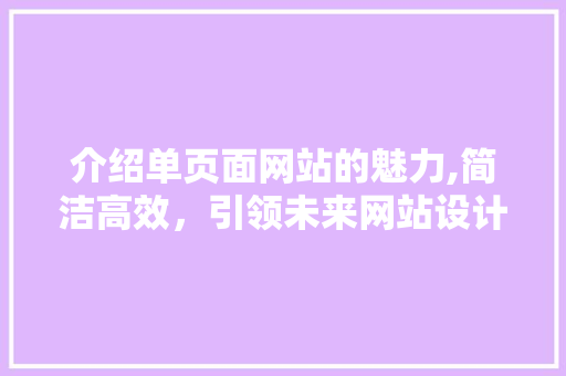 介绍单页面网站的魅力,简洁高效，引领未来网站设计潮流