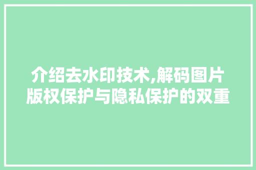 介绍去水印技术,解码图片版权保护与隐私保护的双重挑战