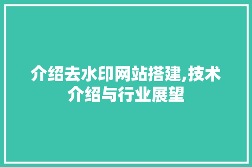 介绍去水印网站搭建,技术介绍与行业展望