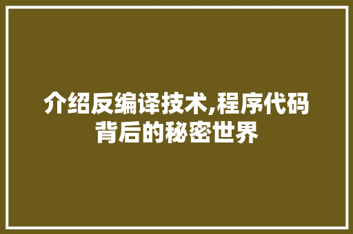 介绍反编译技术,程序代码背后的秘密世界
