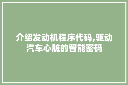 介绍发动机程序代码,驱动汽车心脏的智能密码