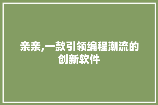 亲亲,一款引领编程潮流的创新软件 亲亲,一款引领编程潮流的创新软件 SEO关键词
