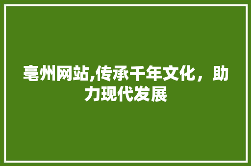 亳州网站,传承千年文化，助力现代发展