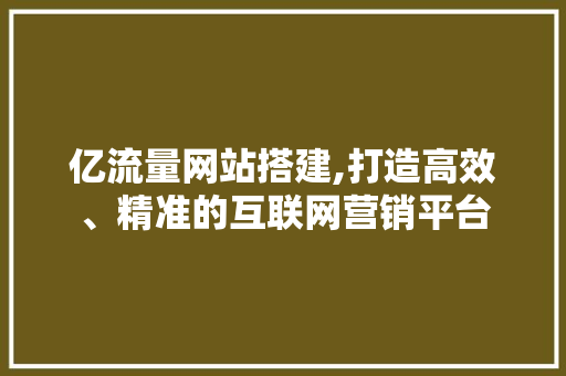亿流量网站搭建,打造高效、精准的互联网营销平台