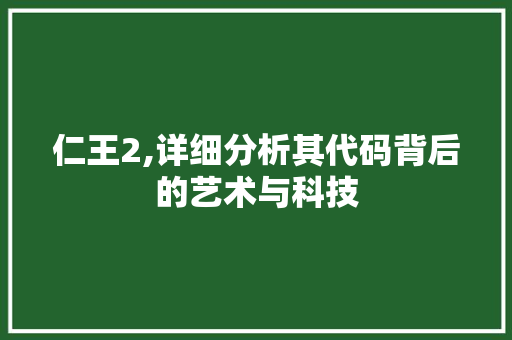 仁王2,详细分析其代码背后的艺术与科技