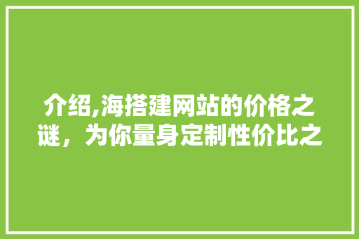 介绍,海搭建网站的价格之谜，为你量身定制性价比之选 介绍,海搭建网站的价格之谜，为你量身定制性价比之选 必应SEO