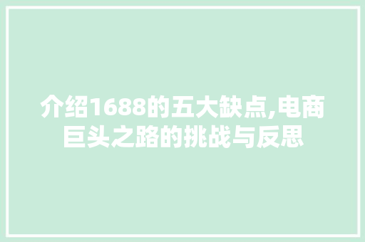 介绍1688的五大缺点,电商巨头之路的挑战与反思