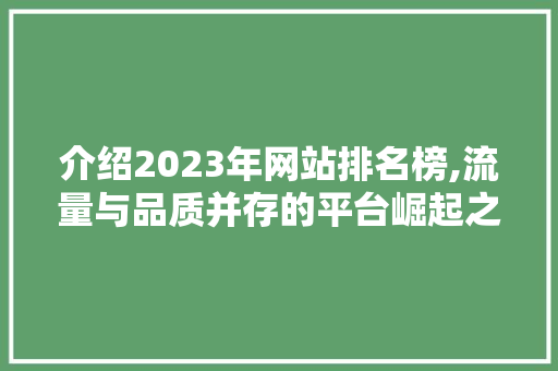 介绍2023年网站排名榜,流量与品质并存的平台崛起之路