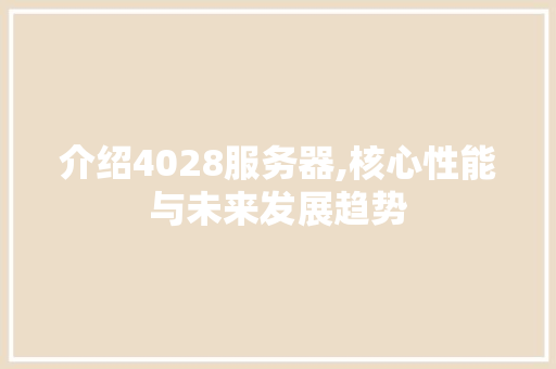 介绍4028服务器,核心性能与未来发展趋势