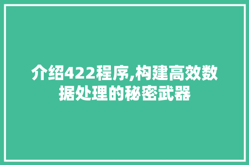 介绍422程序,构建高效数据处理的秘密武器