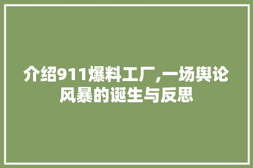 介绍911爆料工厂,一场舆论风暴的诞生与反思 介绍911爆料工厂,一场舆论风暴的诞生与反思 网站建设公司