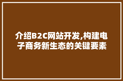 介绍B2C网站开发,构建电子商务新生态的关键要素