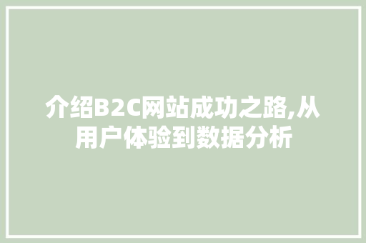介绍B2C网站成功之路,从用户体验到数据分析