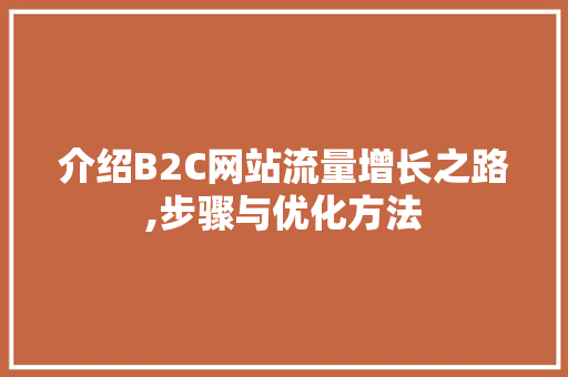 介绍B2C网站流量增长之路,步骤与优化方法