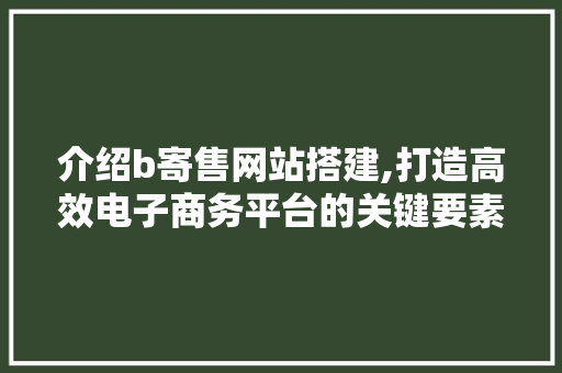 介绍b寄售网站搭建,打造高效电子商务平台的关键要素