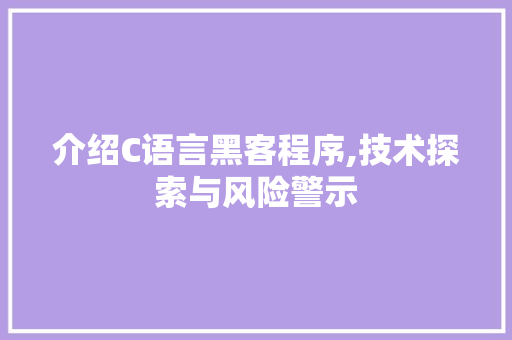 介绍C语言黑客程序,技术探索与风险警示 介绍C语言黑客程序,技术探索与风险警示 网站建设公司