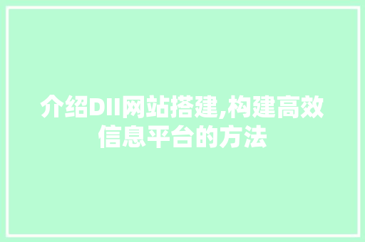 介绍DII网站搭建,构建高效信息平台的方法