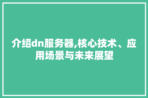介绍dn服务器,核心技术、应用场景与未来展望