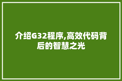 介绍G32程序,高效代码背后的智慧之光 介绍G32程序,高效代码背后的智慧之光 百度SEO