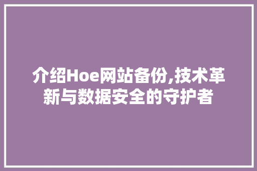 介绍Hoe网站备份,技术革新与数据安全的守护者 介绍Hoe网站备份,技术革新与数据安全的守护者 百度SEO