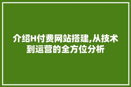 介绍H付费网站搭建,从技术到运营的全方位分析