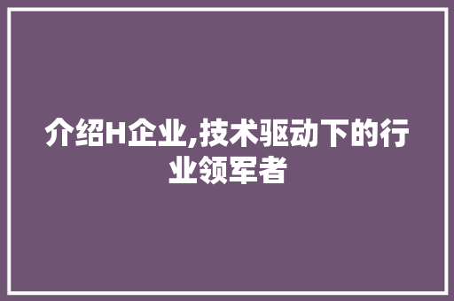 介绍H企业,技术驱动下的行业领军者