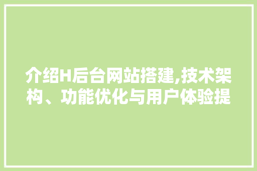 介绍H后台网站搭建,技术架构、功能优化与用户体验提升