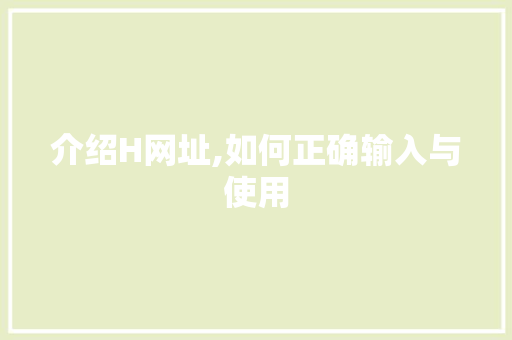 介绍H网址,如何正确输入与使用