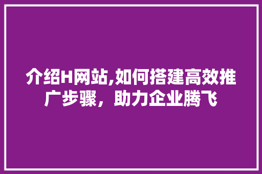 介绍H网站,如何搭建高效推广步骤，助力企业腾飞