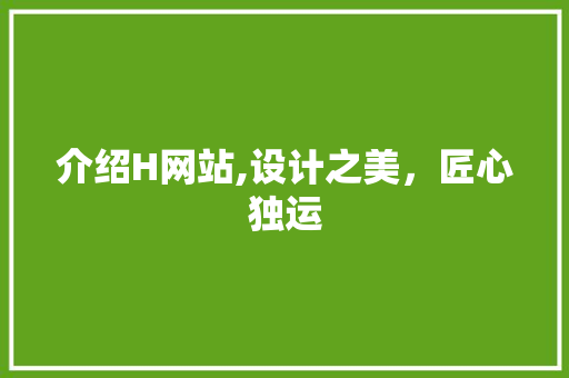 介绍H网站,设计之美，匠心独运