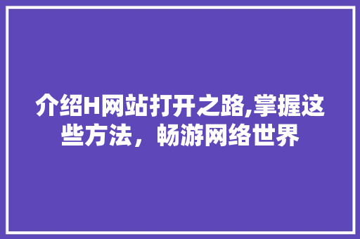 介绍H网站打开之路,掌握这些方法，畅游网络世界
