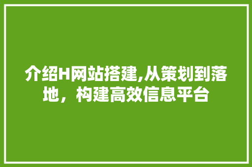 介绍H网站搭建,从策划到落地，构建高效信息平台 介绍H网站搭建,从策划到落地，构建高效信息平台 神马SEO