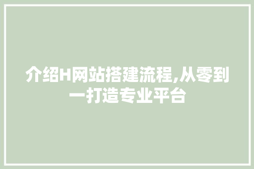介绍H网站搭建流程,从零到一打造专业平台