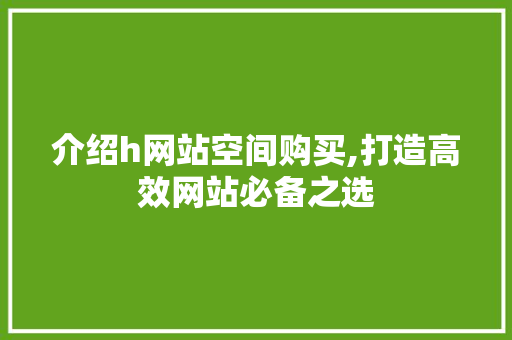 介绍h网站空间购买,打造高效网站必备之选