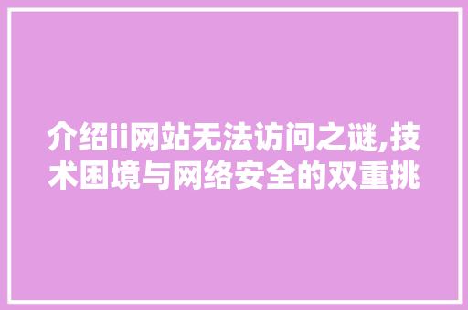 介绍ii网站无法访问之谜,技术困境与网络安全的双重挑战