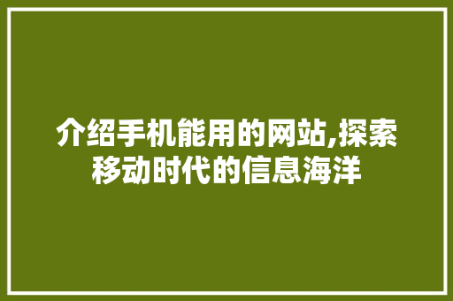 介绍手机能用的网站,探索移动时代的信息海洋