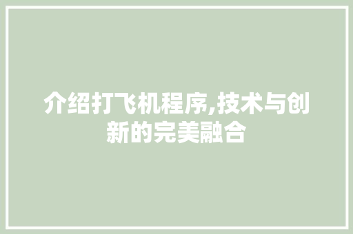 介绍打飞机程序,技术与创新的完美融合
