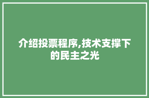 介绍投票程序,技术支撑下的民主之光