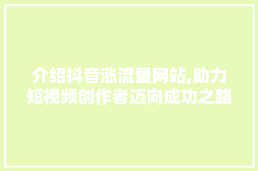 介绍抖音涨流量网站,助力短视频创作者迈向成功之路
