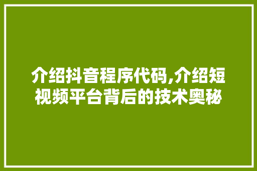 介绍抖音程序代码,介绍短视频平台背后的技术奥秘