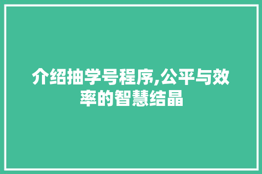 介绍抽学号程序,公平与效率的智慧结晶