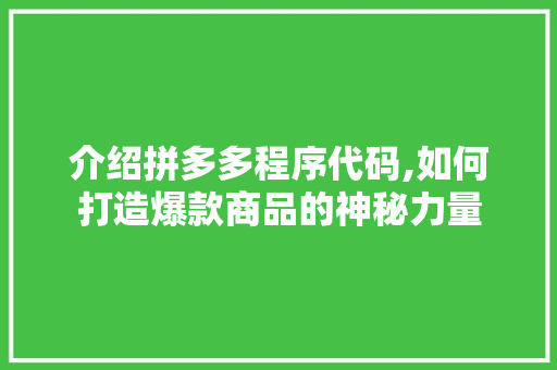 介绍拼多多程序代码,如何打造爆款商品的神秘力量