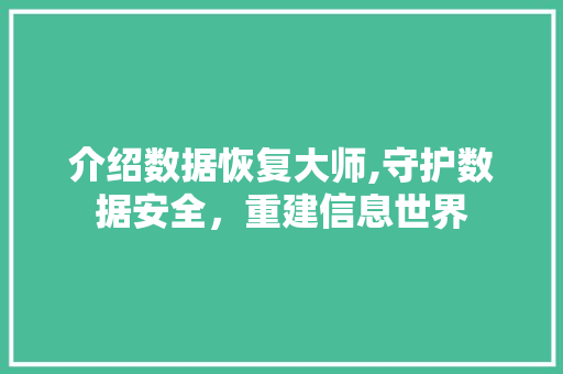 介绍数据恢复大师,守护数据安全，重建信息世界 介绍数据恢复大师,守护数据安全，重建信息世界 神马SEO