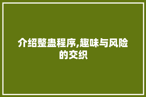 介绍整蛊程序,趣味与风险的交织