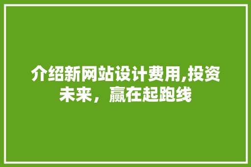 介绍新网站设计费用,投资未来，赢在起跑线
