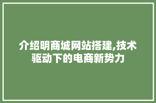 介绍明商城网站搭建,技术驱动下的电商新势力