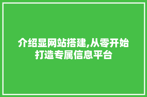 介绍显网站搭建,从零开始打造专属信息平台